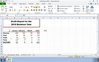 Excel cells display