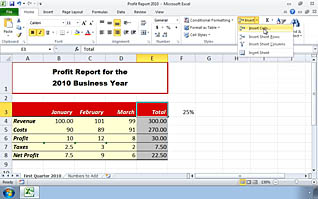 Excel display with graph