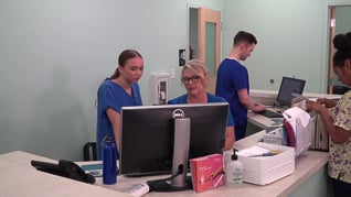 Understanding And Preventing Sexual Harassment 15 Minute Training For Employees - Image 4