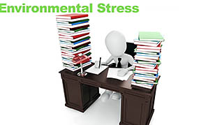 Managing Stress - Image 3