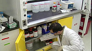 Laboratory Safety: Laboratory Ergonomics - Image 3