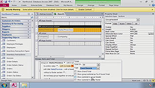 Microsoft Access 2010: Creating Effective Reports - Image 2