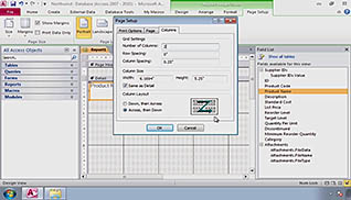 Microsoft Access 2010: Creating Effective Reports - Image 4