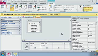 Microsoft Access 2010: Creating Flexible Queries - Image 2