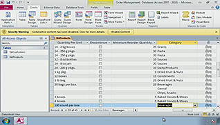 Microsoft Access 2010: Managing Data in a Table - Image 2