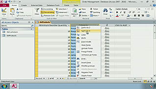 Microsoft Access 2010: Managing Data in a Table - Image 4