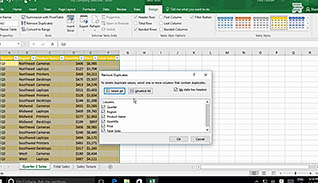 Microsoft Excel 2016 Level 2.3: Analyzing Data - Image 2