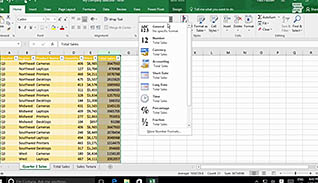 Microsoft Excel 2016 Level 2.3: Analyzing Data - Image 4