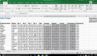 Microsoft Excel 2016 Level 1.4: Formatting a Worksheet - Image 3