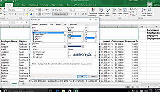 Microsoft Excel 2016 Level 1.4: Formatting a Worksheet - Image 4