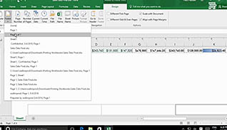 Microsoft Excel 2016 Level 1.5: Printing Workbooks - Image 4