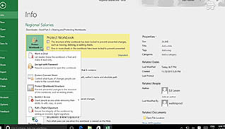 Microsoft Excel 2016 Level 3.3: Sharing and Protecting Workbooks - Image 4