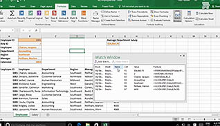 Microsoft Excel 2016 Level 3.2: Using Lookup Functions and Formula Auditing - Image 4