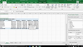 Microsoft Excel 2016 Level 2.5: Using PivotTables and PivotCharts - Image 3