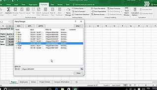 Microsoft Excel 2016 Level 2.1: Working with Functions - Image 2