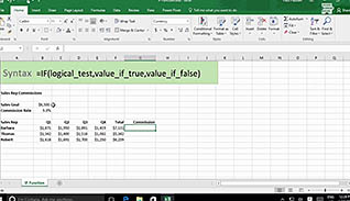 Microsoft Excel 2016 Level 2.1: Working with Functions - Image 3