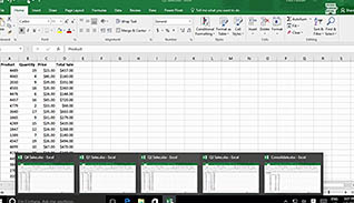 Microsoft Excel 2016 Level 3.1: Working with Multiple Worksheets and Workbooks - Image 3