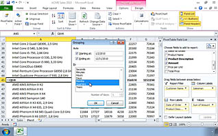 Microsoft Excel 2010 - Analyzing Data Using PivotTables Slicers and PivotCharts - Image 3