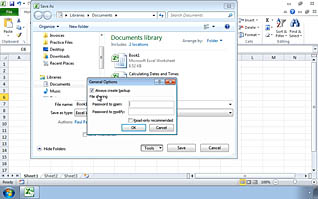 Microsoft Excel 2010 - Customizing and Enhancing the Excel Environment - Image 2