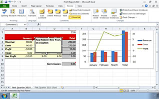 Microsoft Excel 2010 - Customizing and Enhancing the Excel Environment - Image 3