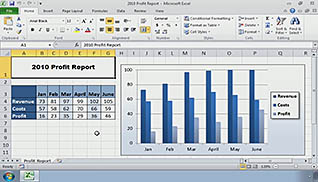 Microsoft Excel 2010 - Integrating Excel Data with the Web - Image 2