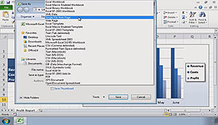 Microsoft Excel 2010 - Integrating Excel Data with the Web - Image 3