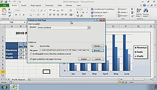 Microsoft Excel 2010 - Integrating Excel Data with the Web - Image 4