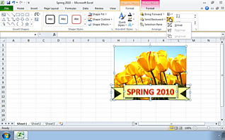 Microsoft Excel 2010 - Inserting Graphic Objects - Image 4