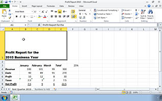 Microsoft Excel 2010: Modifying the Appearance of a Worksheet - Image 3
