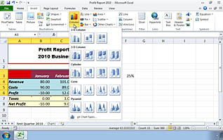Microsoft Excel 2010 - Presenting Data Using Charts - Image 2