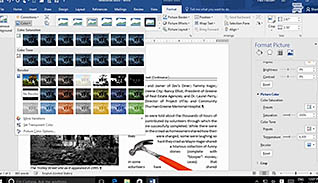 Microsoft Word 2016 Level 3.1: Manipulating Images - Image 4