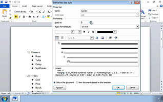 Microsoft Word 2010: Creating Customized Formats with Styles and Themes - Image 2