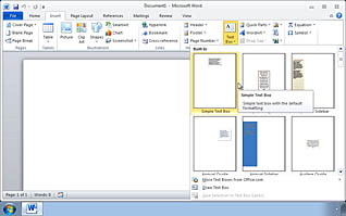 Microsoft Word 2010: Creating Customized Graphic Elements - Image 2