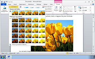 Microsoft Word 2010: Inserting Special Characters and Graphical Objects - Image 4