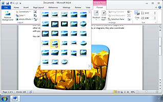 Microsoft Word 2010: Modifying Pictures - Image 2