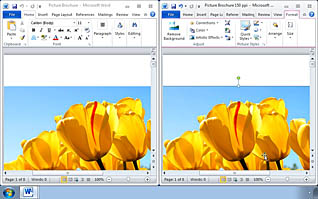 Microsoft Word 2010: Modifying Pictures - Image 3