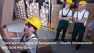 Sexual Harassment Prevention For Managers In California 2-Hour Course: Part 2 - Image 3