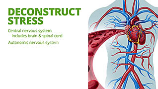 Manage Workplace Stress - Image 2