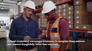 Cultural Competency In The Workplace - Image 3